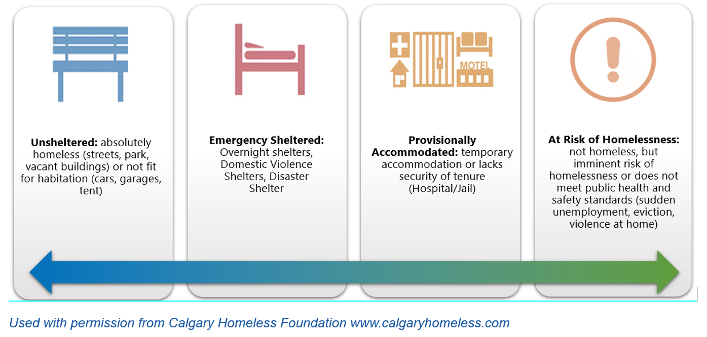 A chart defines four levels of homelessness: Unsheltered, Emergency Sheltered, Provisionally Accommodated, and At Risk of Homelessness, with descriptions under each category.  A circular infographic outlines the complex causes of homelessness, divided into structural, relational, and system factors, with specific examples listed for each category.